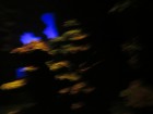 img_3361