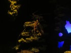 img_3362