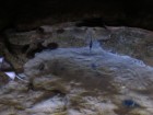 img_3366