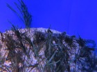 img_3383