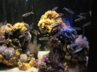 img_3384