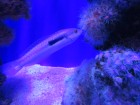 img_3385