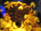 img_3396