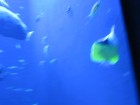 img_3411