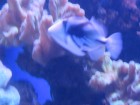 img_3416