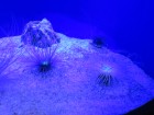 img_3451