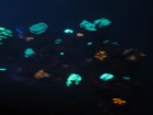 img_3452