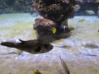 img_3465