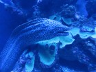 img_3477