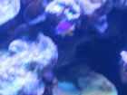 img_3481