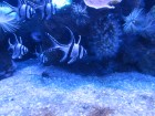 img_3486