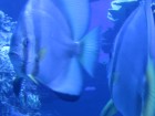img_3488