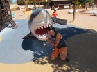 img_3521