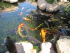 img_3527