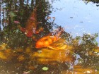 img_3533