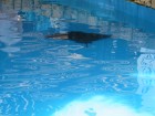 img_3538