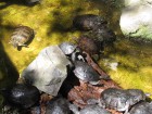 img_3559