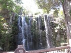img_3562