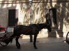 img_3296