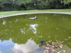 img_3836