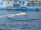 img_3974