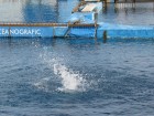 img_3977