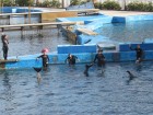 img_3980