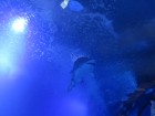 img_3989