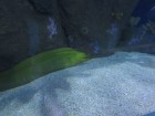 img_3991