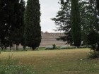 img_3005