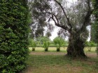 img_3019