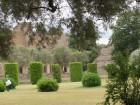 img_3022