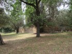 img_3058