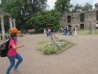 img_3082