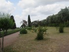img_3094