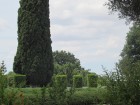 img_3095