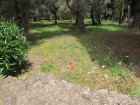 img_3096