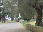 img_3100