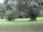 img_3103