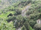 img_3146
