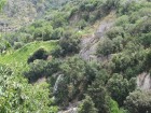 img_3147