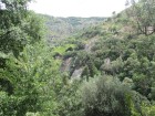 img_3149