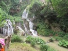 img_3184