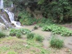 img_3186