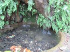 img_3206