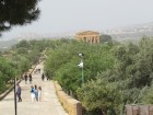 img_2905