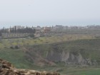 img_2908