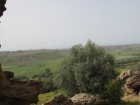 img_2909