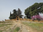 img_2919