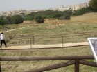 img_2951